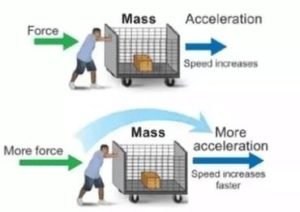 পদার্থবিদ্যায় নিউটনের তিনটি সূত্র 11 Newtons three laws in Physics 18 পদার্থবিদ্যায় নিউটনের তিনটি সূত্র Newtons three laws in Physics 18 পদার্থবিদ্যায় নিউটনের তিনটি সূত্র