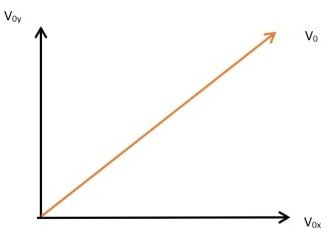 Projectile in Physics 10 প্রজেক্টাইল বা প্রাস