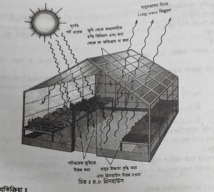 গ্রিনহাউস ক্রিয়া ব্যাখ্যা | তাপ সঞ্চালন | পদার্থবিজ্ঞান 3 গ্রিনহাউস ক্রিয়া ব্যাখ্যা গ্রিনহাউস ক্রিয়া ব্যাখ্যা | তাপ সঞ্চালন | পদার্থবিজ্ঞান গ্রিনহাউস ক্রিয়া ব্যাখ্যা