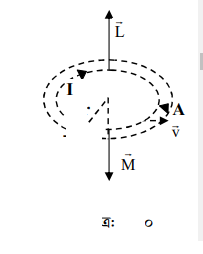 কক্ষপথে ইলেকট্রন ঘূর্ণনের জন্য সৃষ্ট চৌম্বকক্ষেত্র
