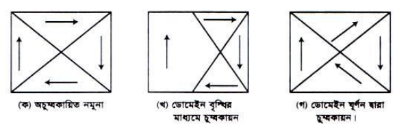 চৌম্বক ডোমেইন