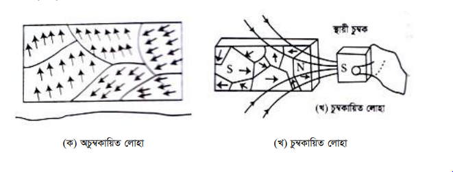চৌম্বক ডোমেইন