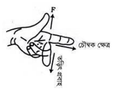 চৌম্বক ক্ষেত্রে তড়িৎবাহী পরিবাহী ও কুলীর উপর বল ও টর্ক
