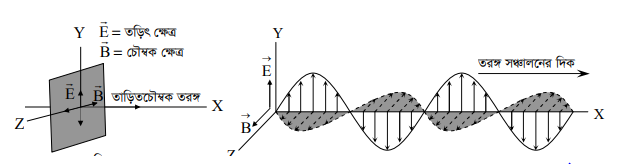 তাড়িতচৌম্বক তরঙ্গ