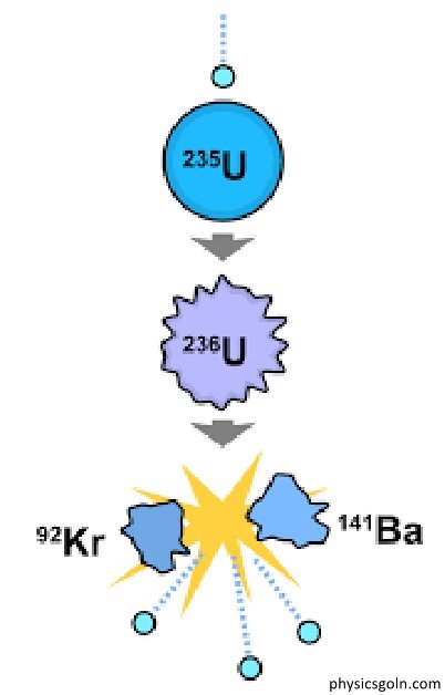 নিউক্লিয়াসের গঠন