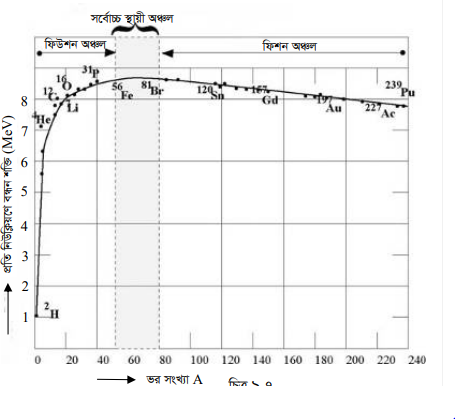 নিউক্লিয়াসের গঠন