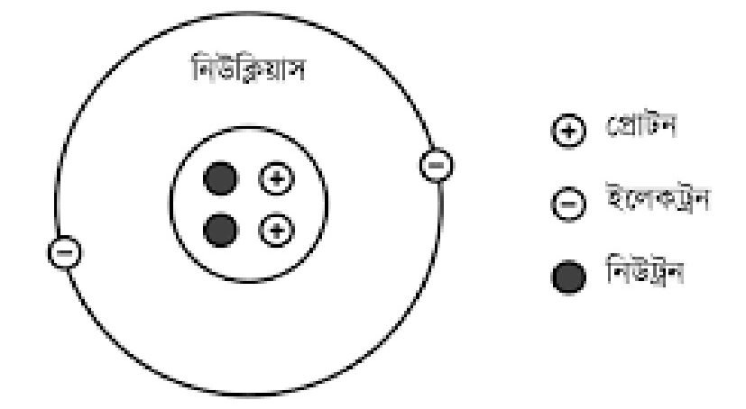 নিউক্লিয়াসের গঠন