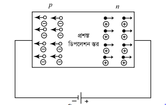 ডায়োড : p-n জাংশনের বৈশিষ্ট্য লেখ