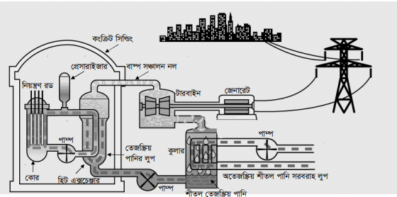 নিউক্লিয় রিঅ্যাকটর