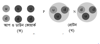 মহাবিশ্বের মূল বস্তু ও ঘটনা 3 মহাবিশ্বের মূল বস্তু ও ঘটনা মহাবিশ্বের মূল বস্তু ও ঘটনা মহাবিশ্বের মূল বস্তু ও ঘটনা